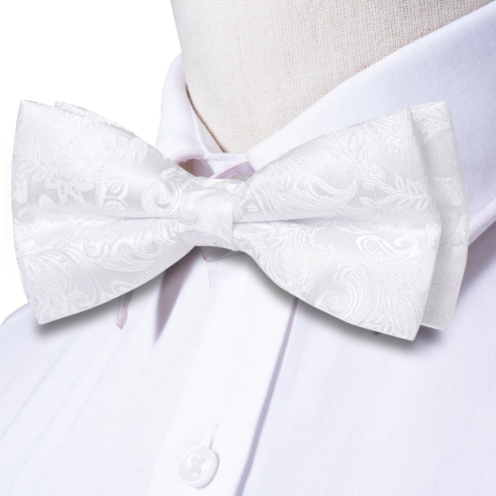 Zestaw: Męska mucha, poszetka, – Bow Tie Pre Tied recenzja i cena